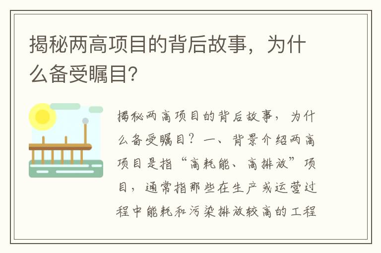 揭秘兩高項目的背后故事，為什么備受矚目？