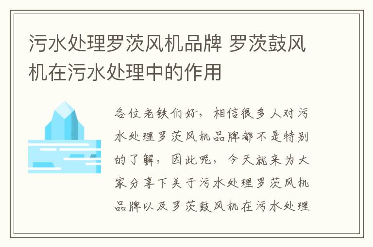 污水處理羅茨風(fēng)機品牌 羅茨鼓風(fēng)機在污水處理中的作用