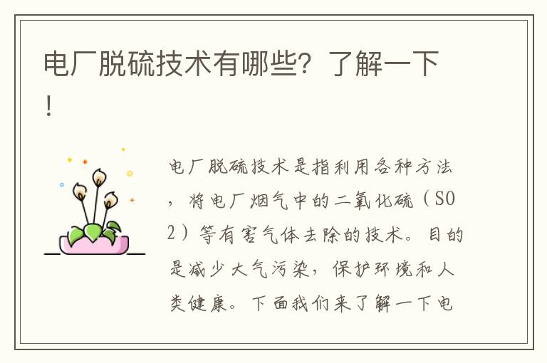 電廠(chǎng)脫硫技術(shù)有哪些？了解一下！