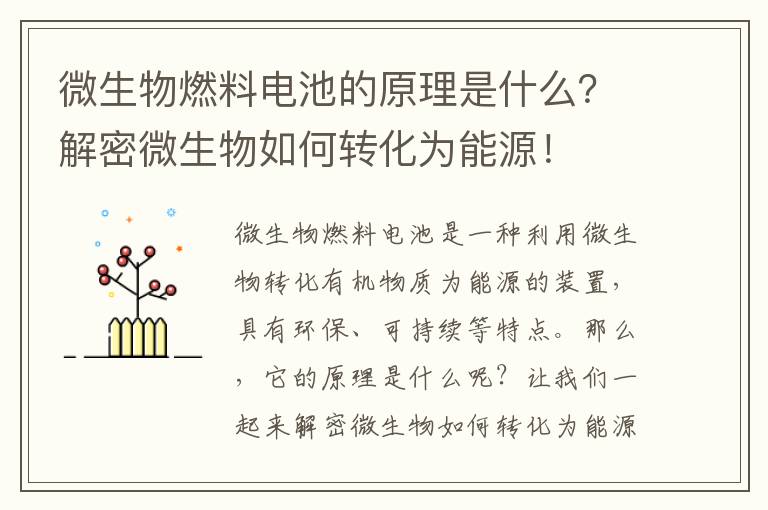 微生物燃料電池的原理是什么？解密微生物如何轉化為能源！