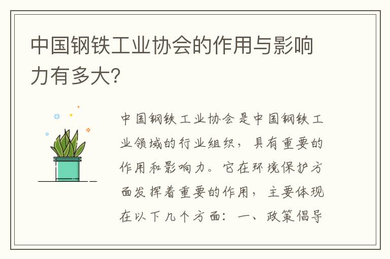 中國鋼鐵工業(yè)協(xié)會(huì )的作用與影響力有多大？