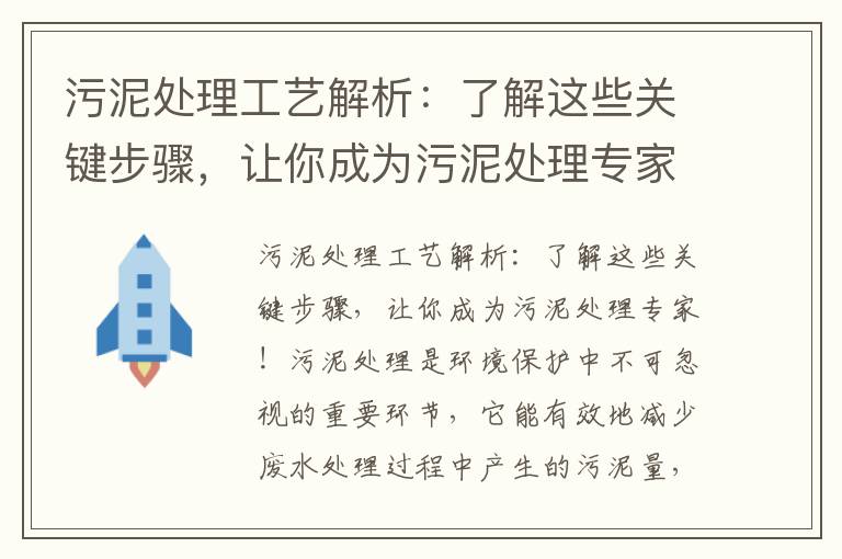 污泥處理工藝解析：了解這些關(guān)鍵步驟，讓你成為污泥處理專(zhuān)家！