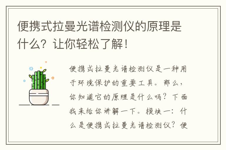 便攜式拉曼光譜檢測儀的原理是什么？讓你輕松了解！