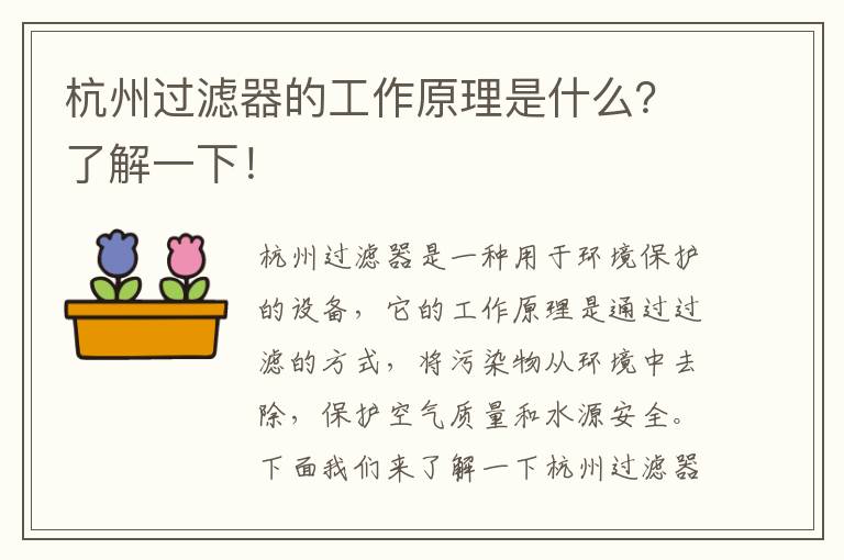 杭州過(guò)濾器的工作原理是什么？了解一下！