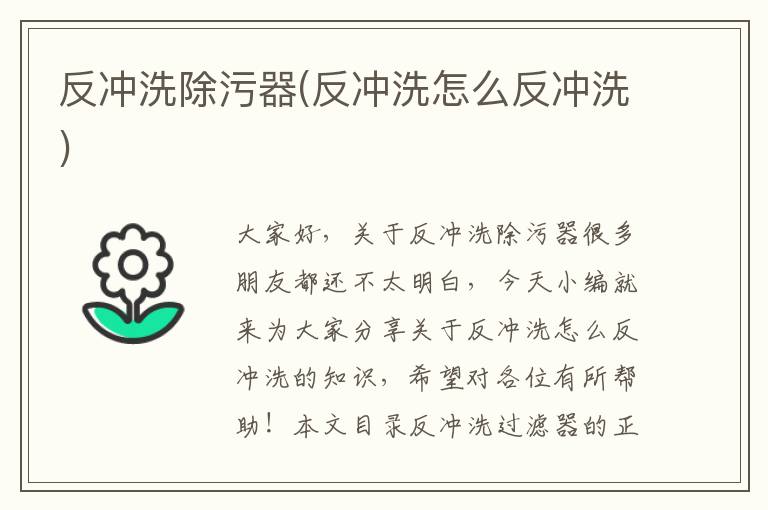 反沖洗除污器(反沖洗怎么反沖洗)