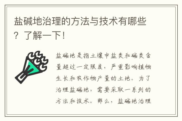 鹽堿地治理的方法與技術(shù)有哪些？了解一下！