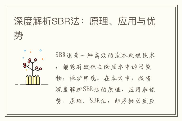 深度解析SBR法：原理、應用與優(yōu)勢