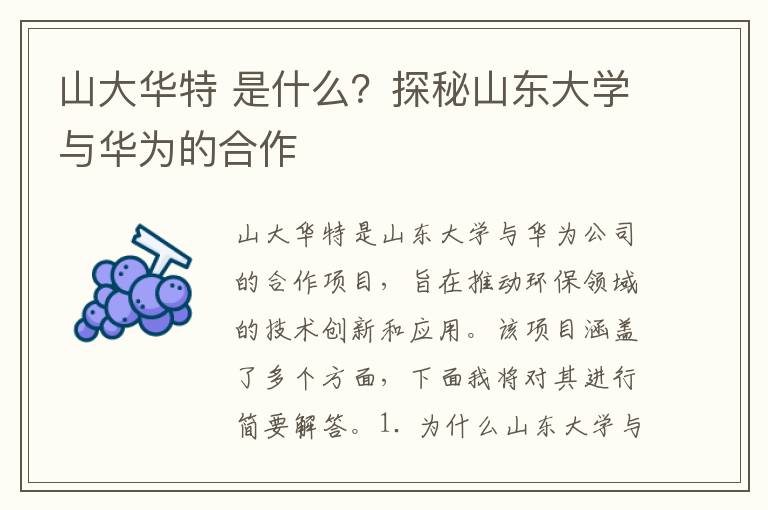 山大華特 是什么？探秘山東大學(xué)與華為的合作