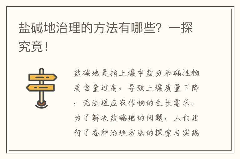 鹽堿地治理的方法有哪些？一探究竟！