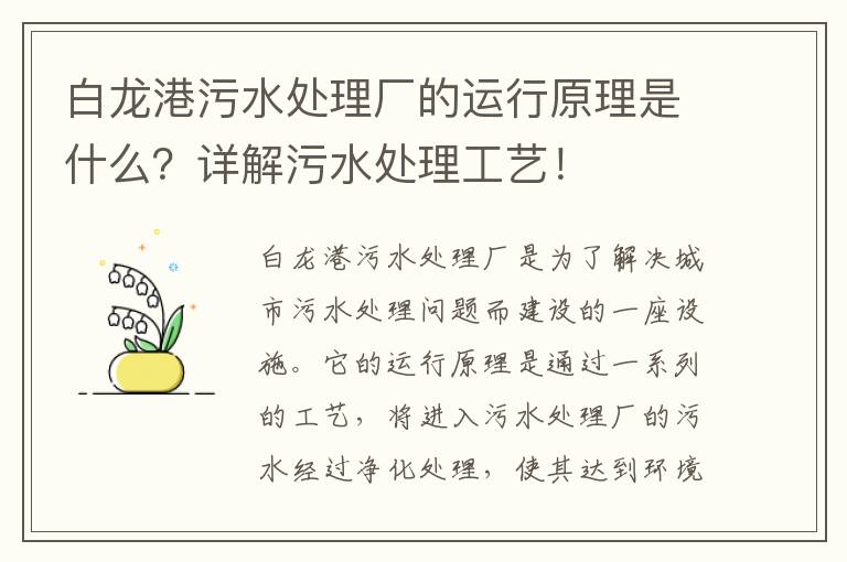 白龍港污水處理廠(chǎng)的運行原理是什么？詳解污水處理工藝！