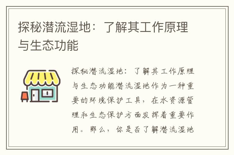 探秘潛流濕地：了解其工作原理與生態(tài)功能