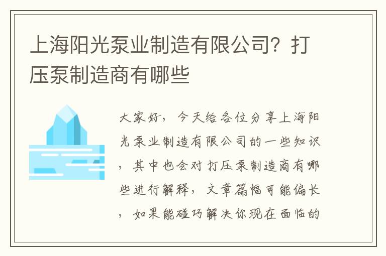 上海陽(yáng)光泵業(yè)制造有限公司？打壓泵制造商有哪些